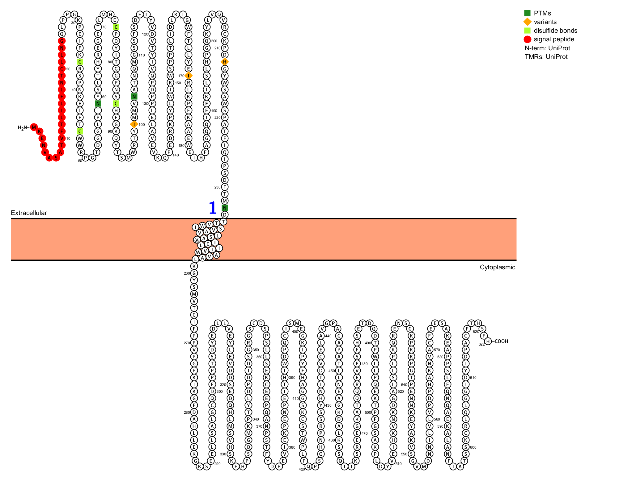 Prolactin receptor PRLR