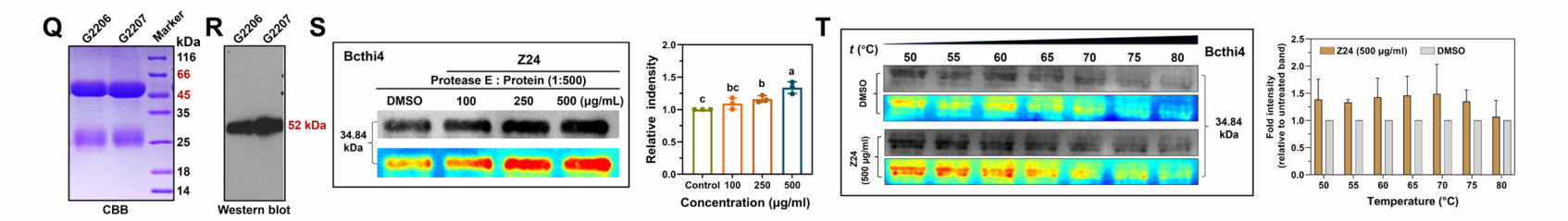 Protein antibody SPR enabling new drug development