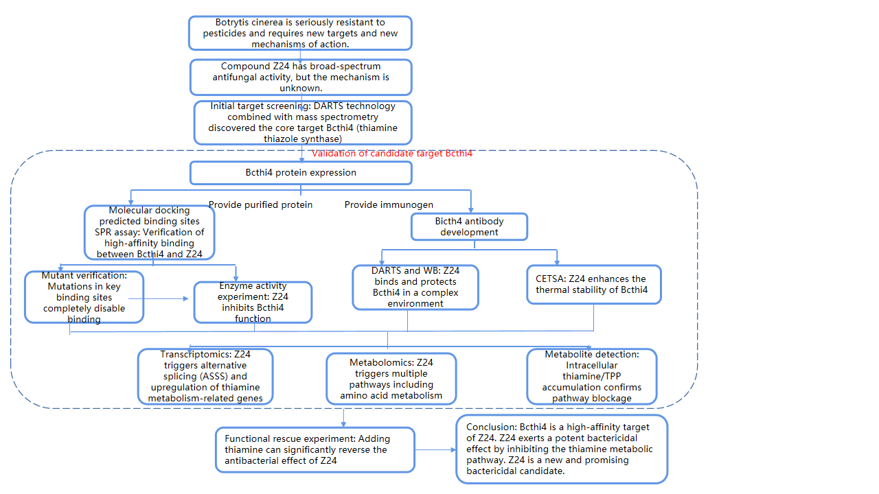 Protein antibody SPR enabling new drug development