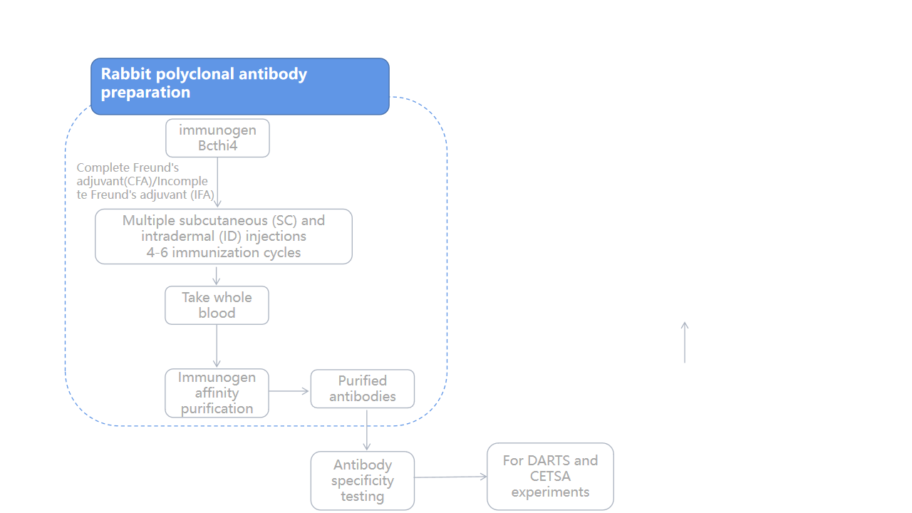 Protein antibody SPR enabling new drug development