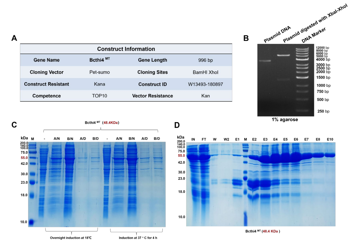Protein antibody SPR enabling new drug development