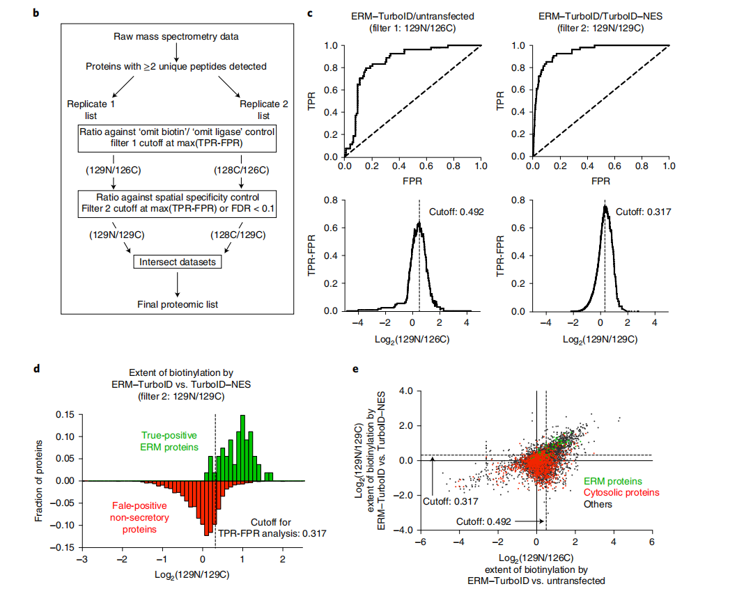 Proximity labeling in mammalian cells with TurboID and split-TurboID