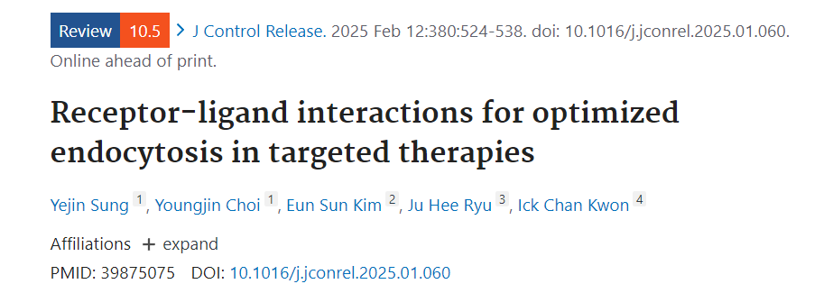 Receptor-ligand interactions for optimized endocytosis in targeted therapies
