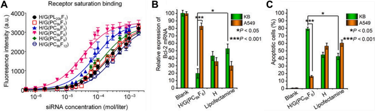 Receptor-ligand interactions for optimized endocytosis in targeted therapies