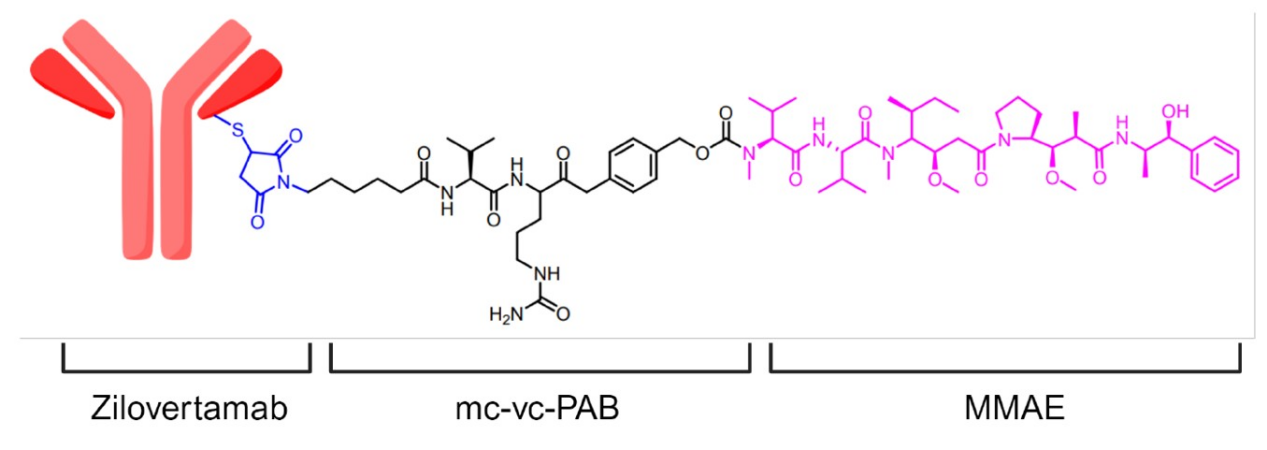Receptor tyrosine kinase-like orphan receptor ROR1