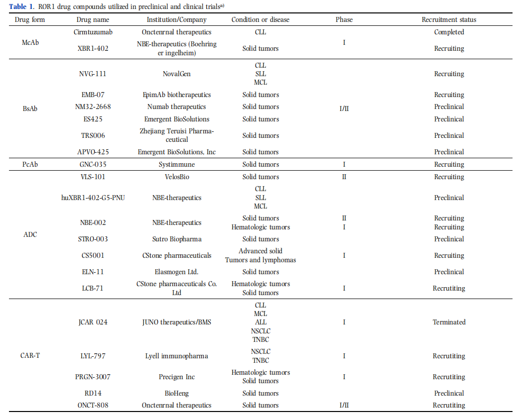 Receptor tyrosine kinase-like orphan receptor ROR1