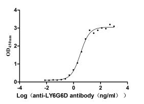 Recombinant Human Lymphocyte antigen 6 complex locus protein G6d(LY6G6D)