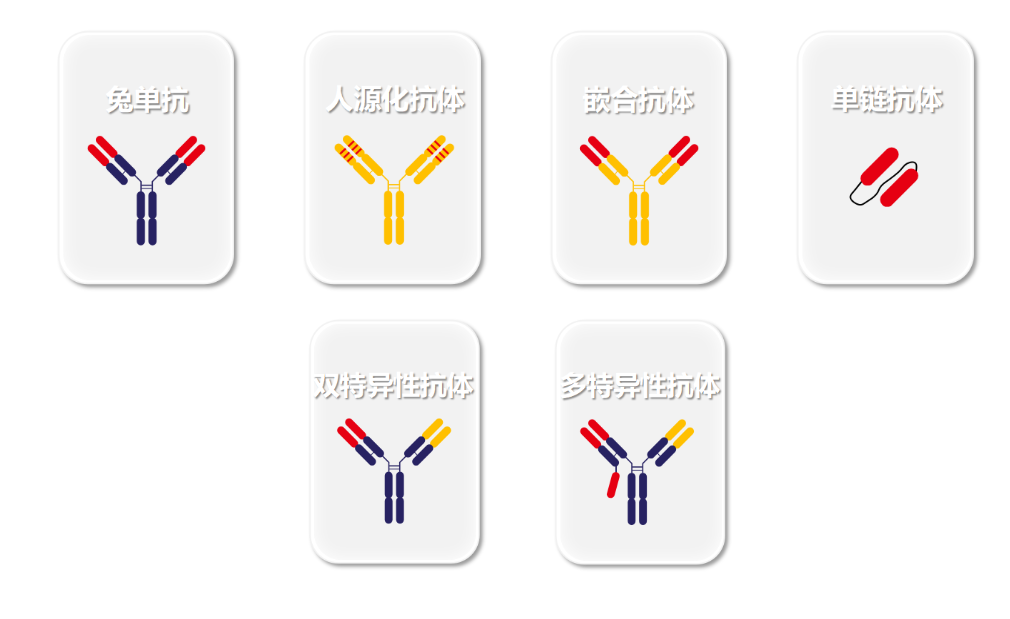 Recombinant antibodies: antibody sequencing and artificial intelligence help antibody design