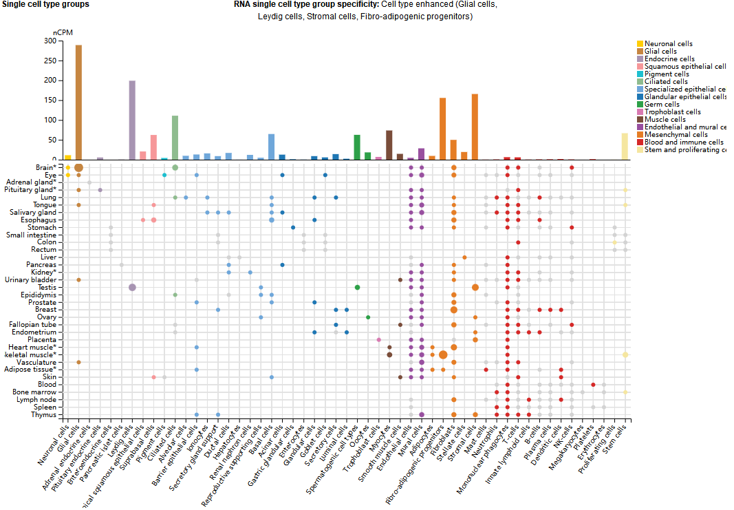 Regulatory target of neuronal regeneration and survival RGMA