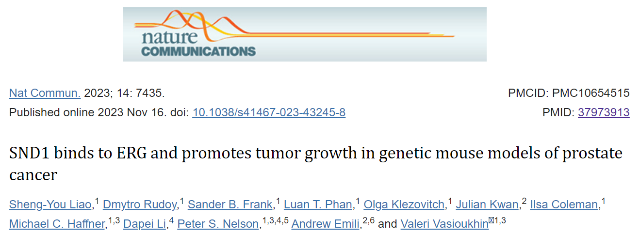 SND1: potential prostate cancer target SND1: potential prostate cancer target