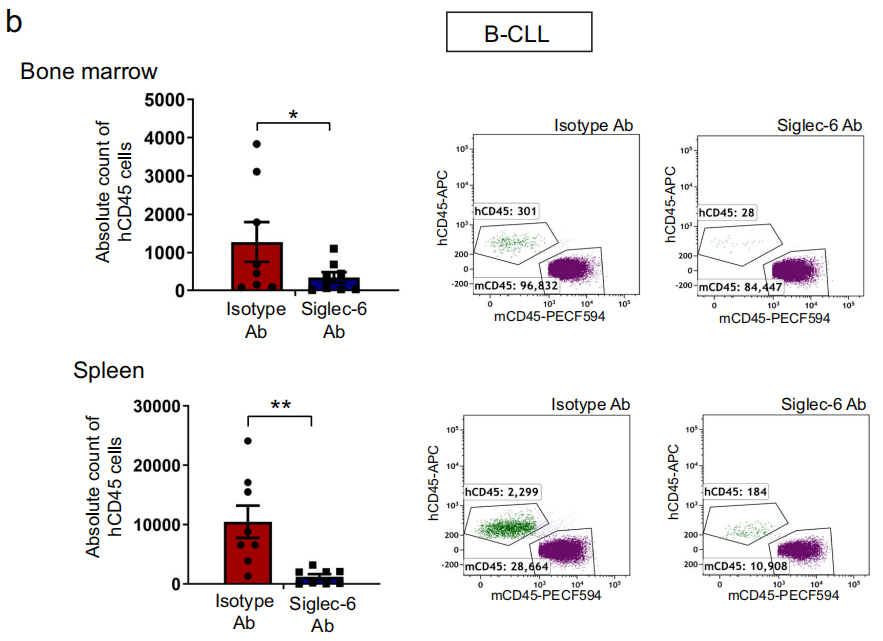 Siglec-6 as a therapeutic target for cell migration and adhesion in chronic lymphocytic leukemia