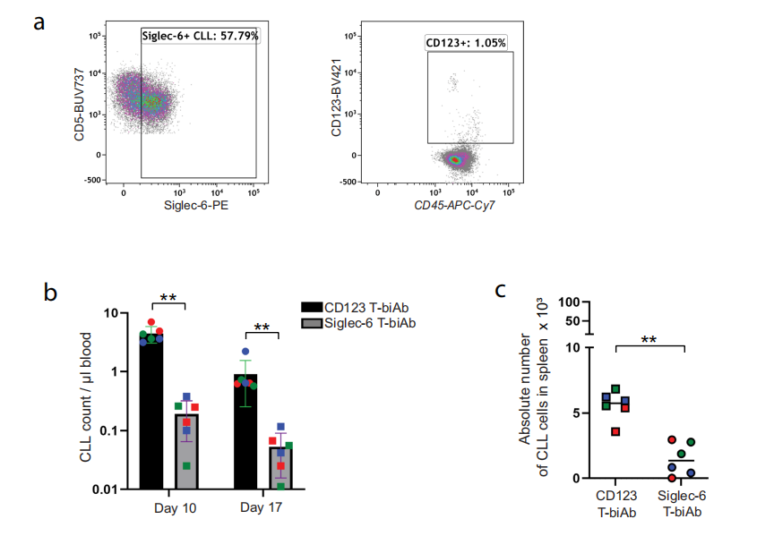 Siglec-6 as a therapeutic target for cell migration and adhesion in chronic lymphocytic leukemia