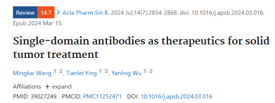 Single domain antibodies as therapeutics for solid tumor treatment