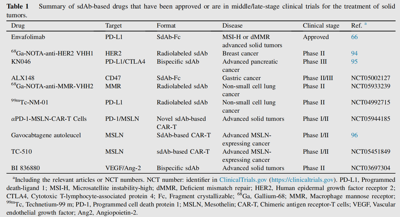 Single domain antibodies as therapeutics for solid tumor treatment