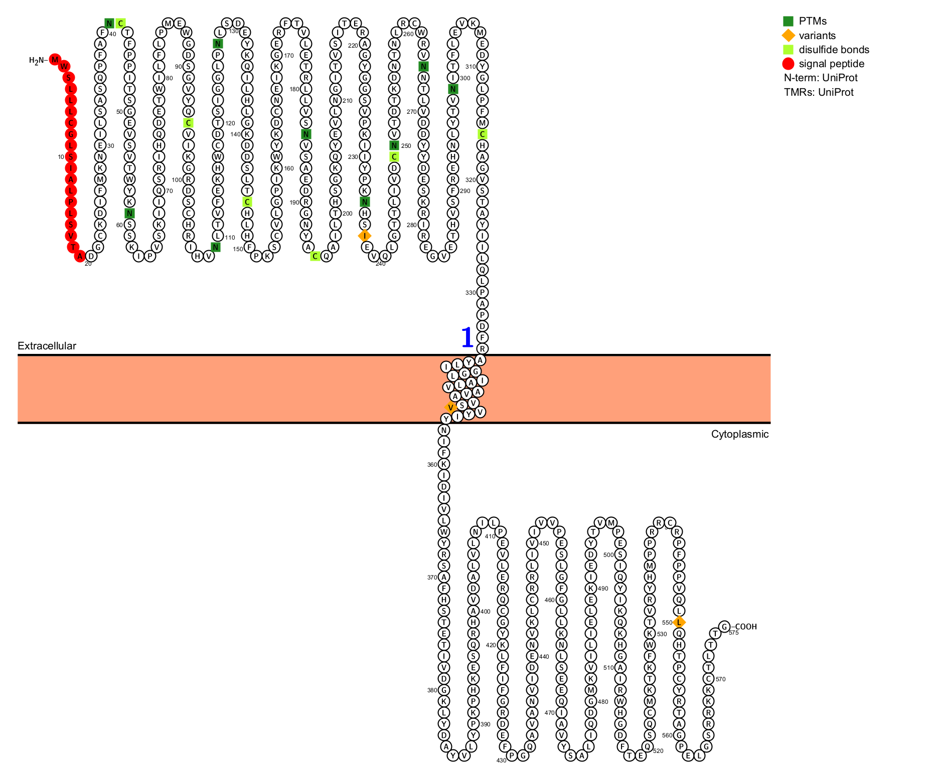 Skin inflammation treatment target IL36R