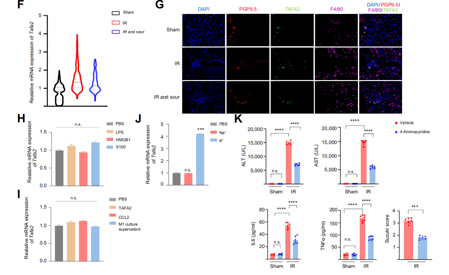 Sour neuronal signalling attenuates macrophage mediated liver injury