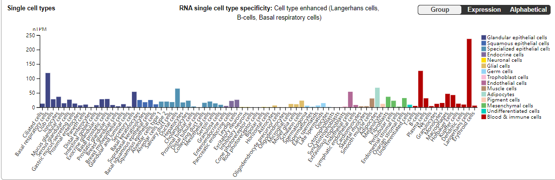 Stimulate receptor molecules CD40