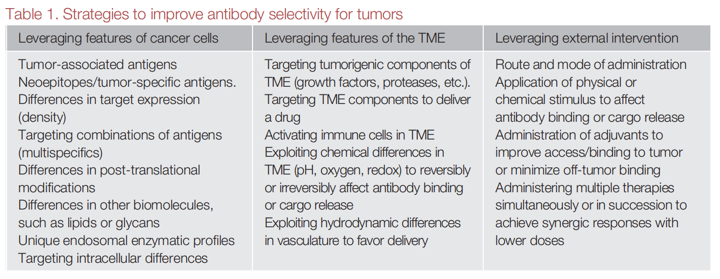 Strategies to boost antibody selectivity in oncology