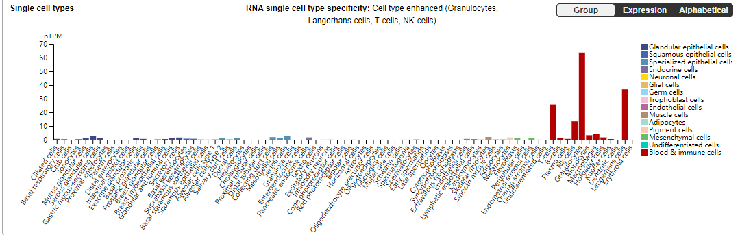 T-cells costimulate the immune checkpoint molecule 4-1BB