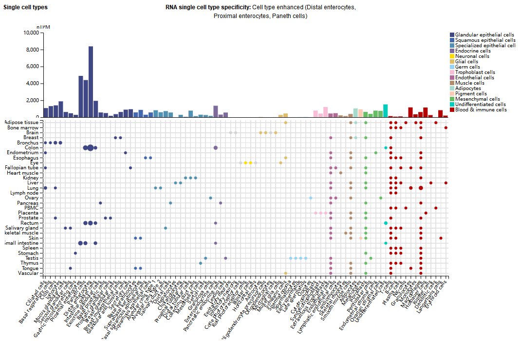 Target for Alzheimer's disease treatment LGALS3