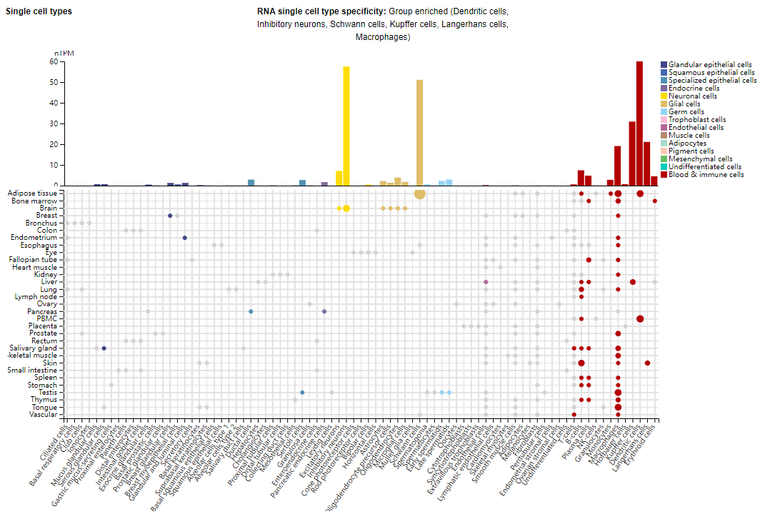 Target of treatment for acute myeloid leukemia FLT3