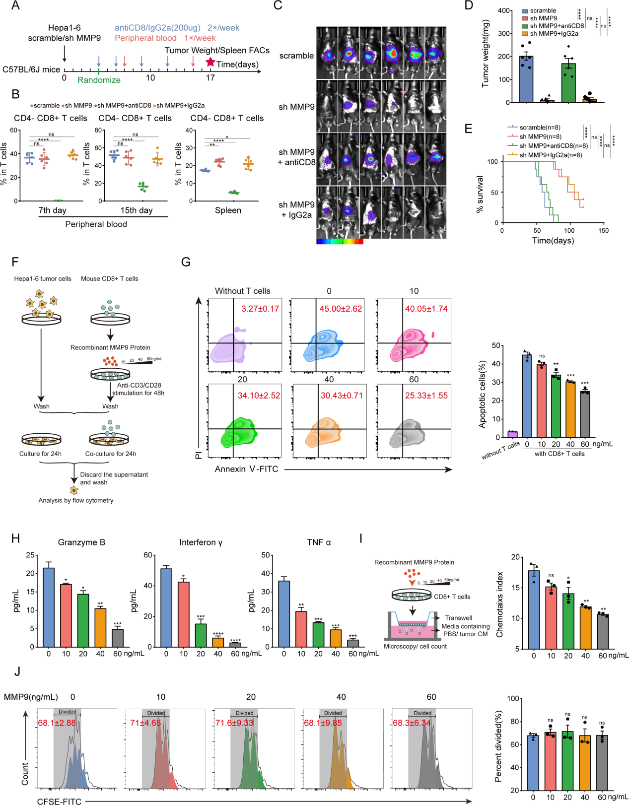Targeted MMP9 therapy synergistically improves anti-PD1 efficacy