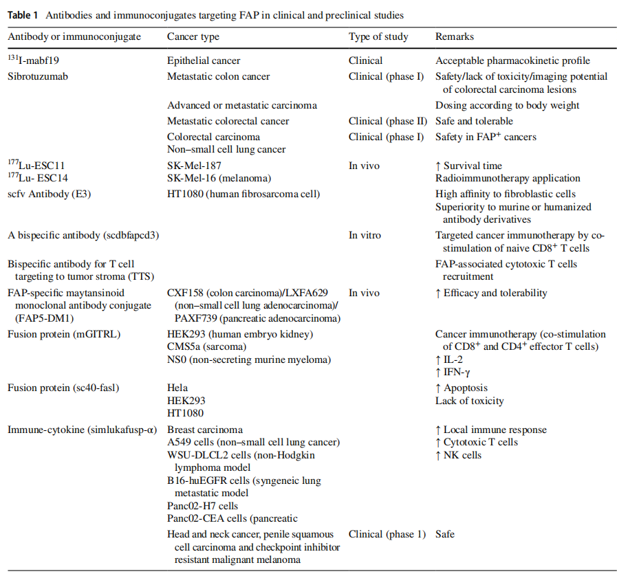 Targeting fibroblast activation protein (FAP): advances in CAR-T cell, antibody, and vaccine in cancer immunotherapy