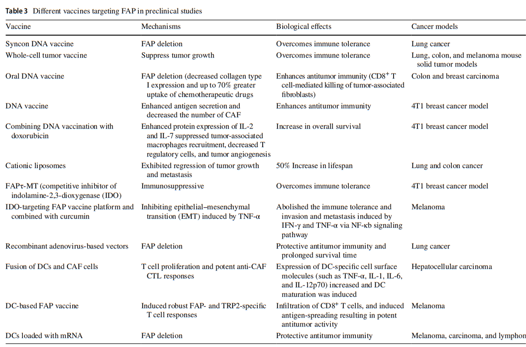 Targeting fibroblast activation protein (FAP): advances in CAR-T cell, antibody, and vaccine in cancer immunotherapy