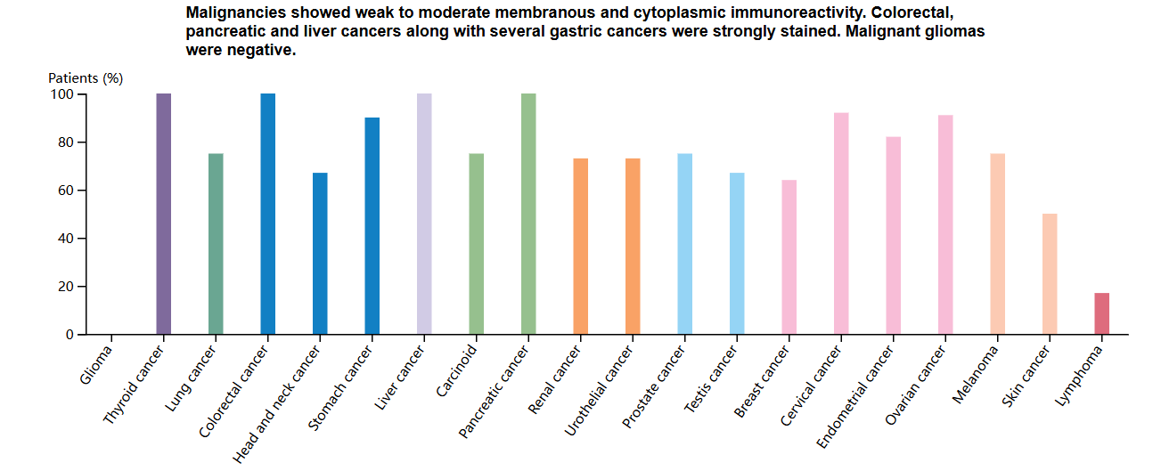 The ADC target antigen TPBG