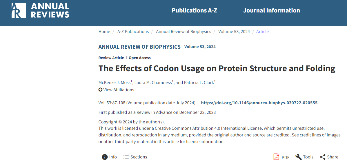 The Effects of Codon Usage on Protein Structure and Folding