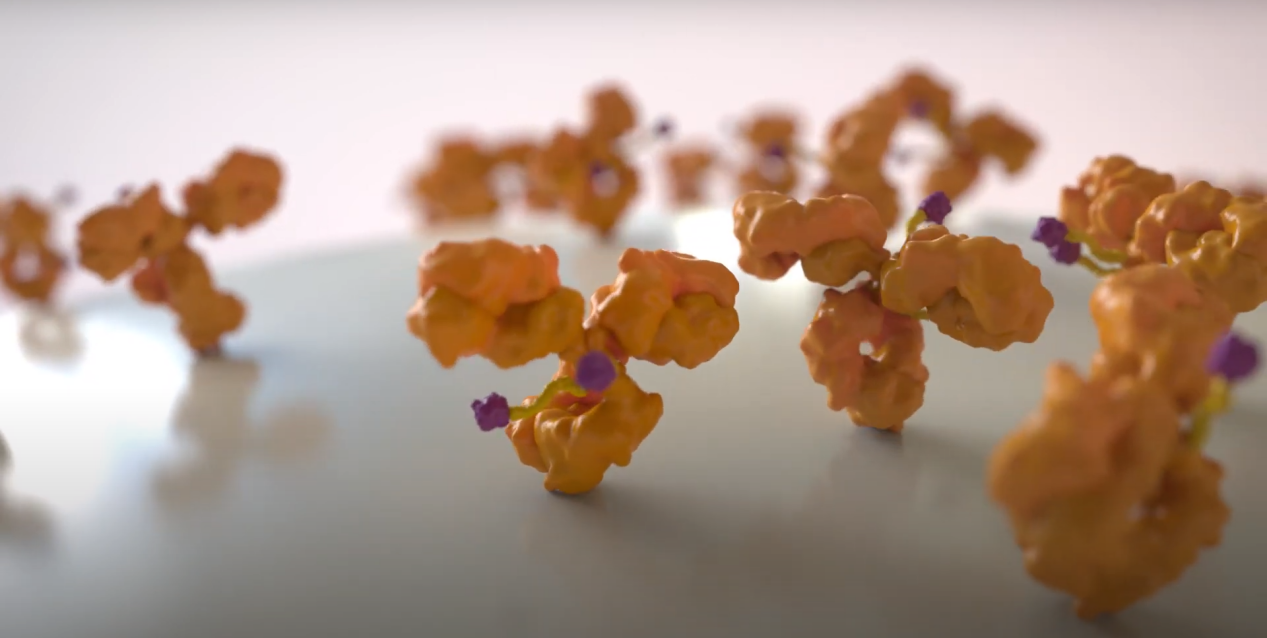 The advent of the era of antibody coupled drug ADC