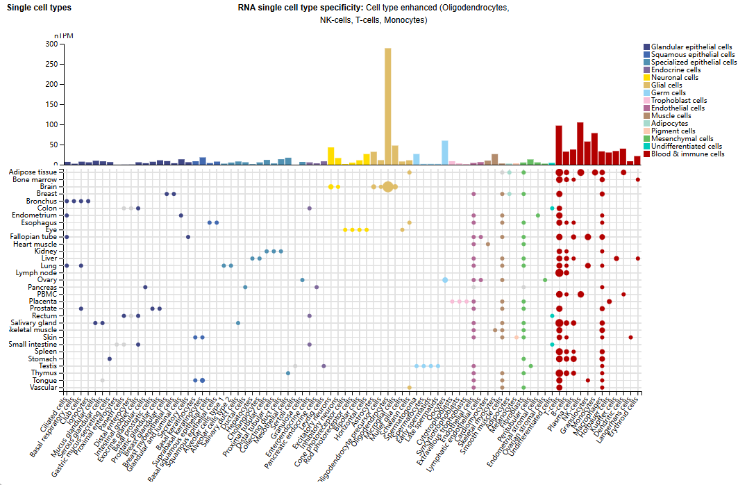 The axon guidance factor SEMA4D The axon guidance factor SEMA4D