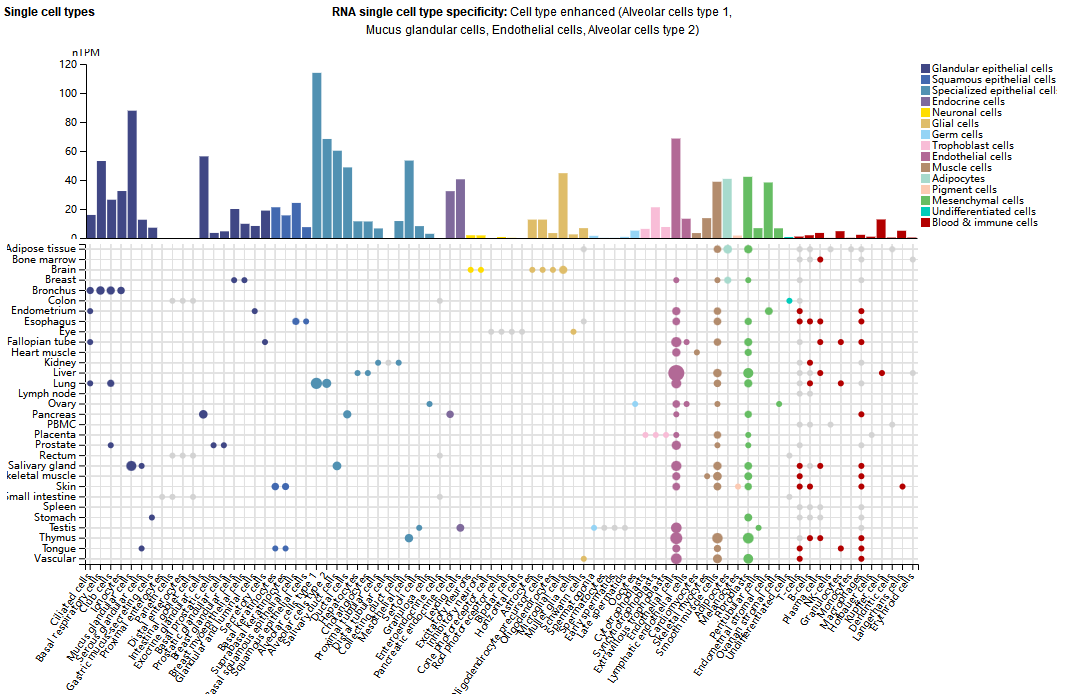 The biligand shared receptor OSMR
