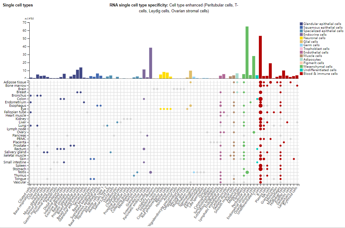 The immune checkpoint LAG-3