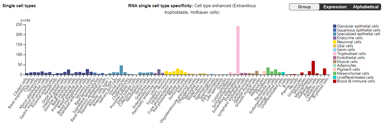The immune checkpoint molecule B7H3