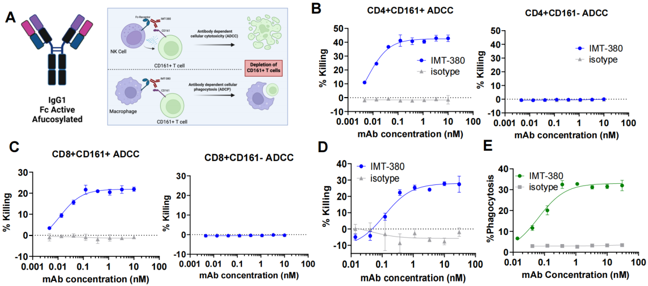 The immune regulatory lectin KLRB1