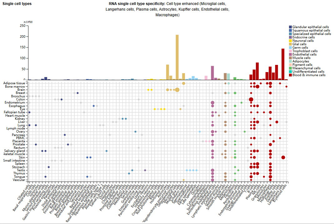 The immunosuppressive enzyme CD39 The immunosuppressive enzyme CD39