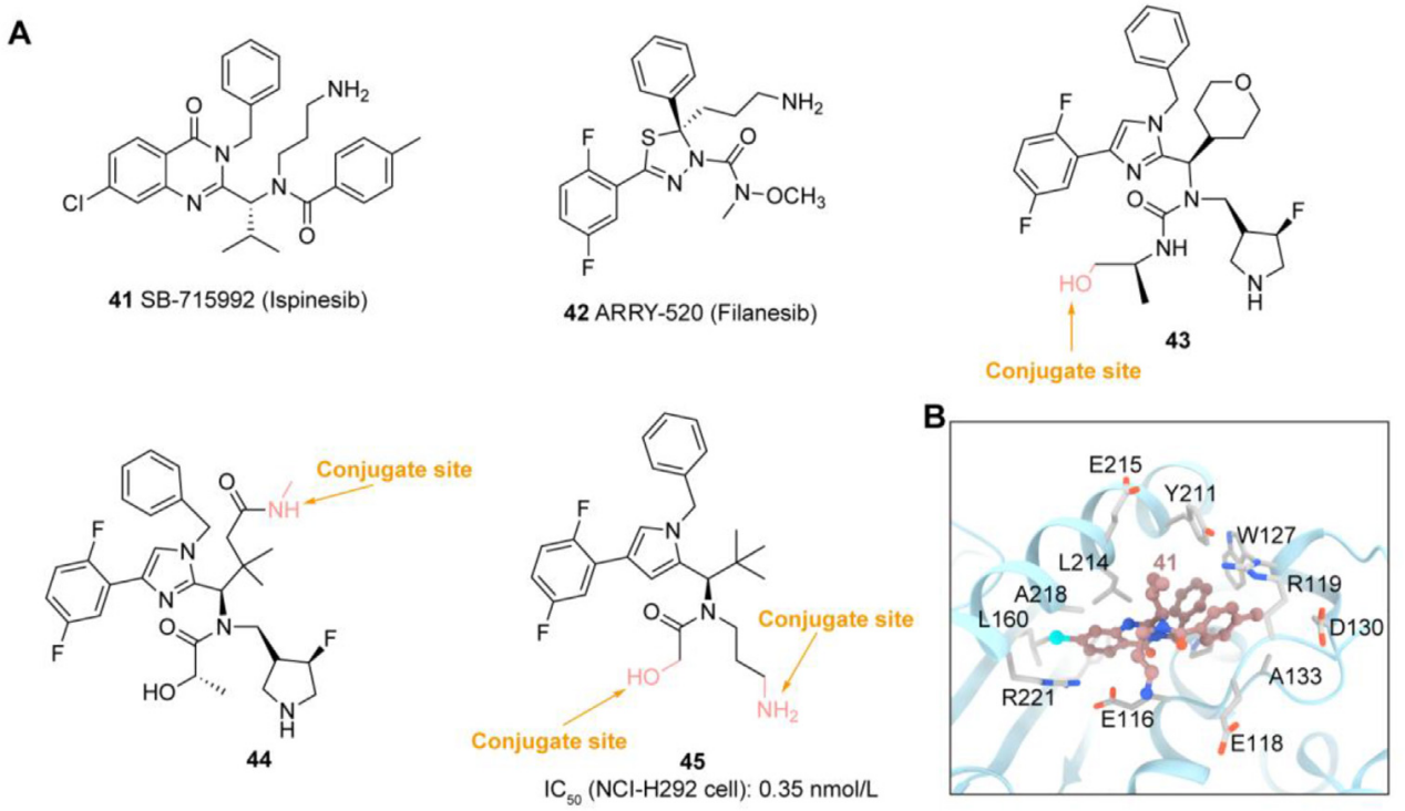 The introduction of ADC drug Payload