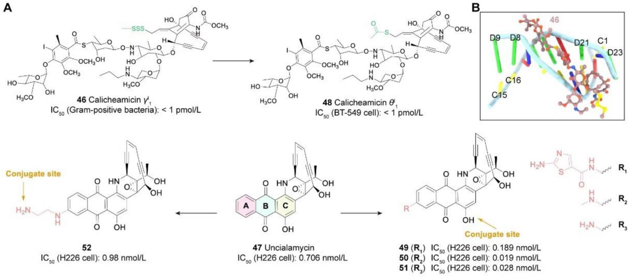 The introduction of ADC drug Payload