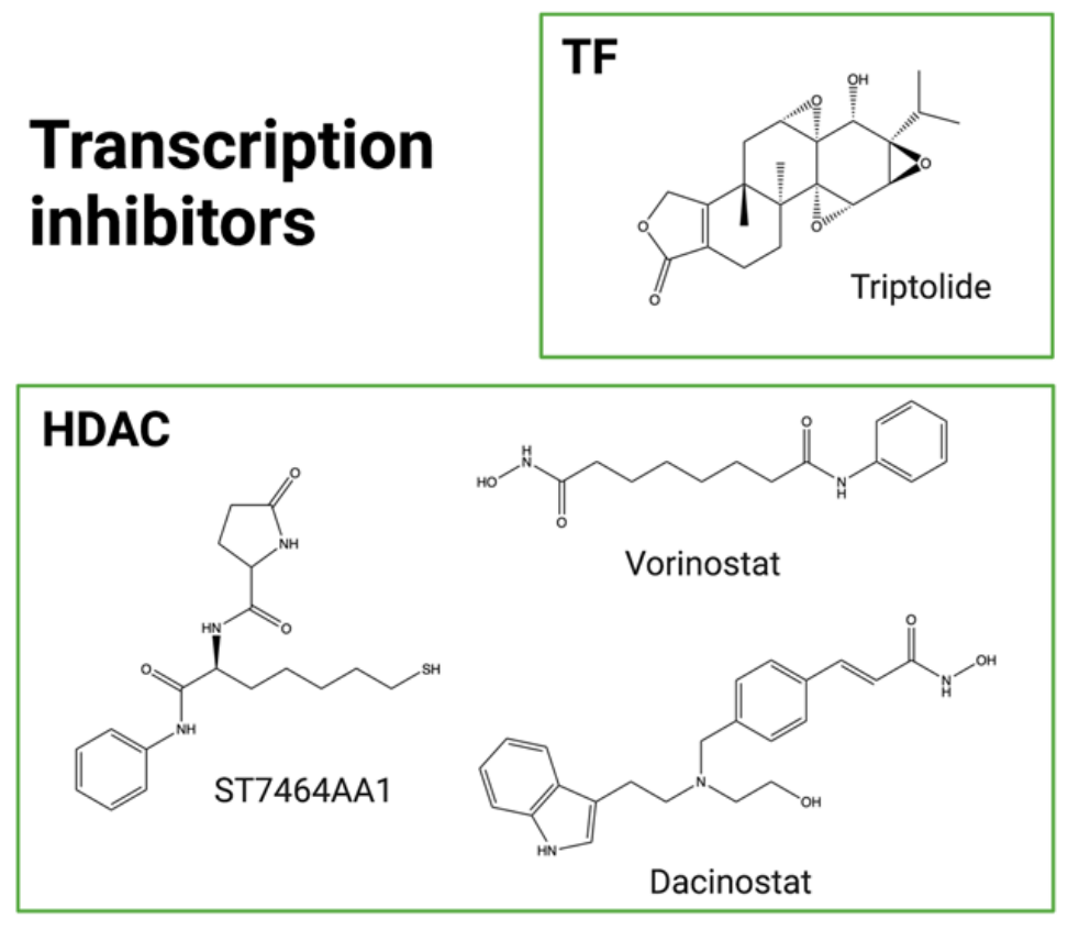 The introduction of ADC drug Payload