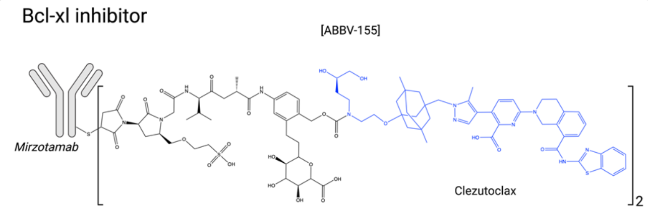 The introduction of ADC drug Payload
