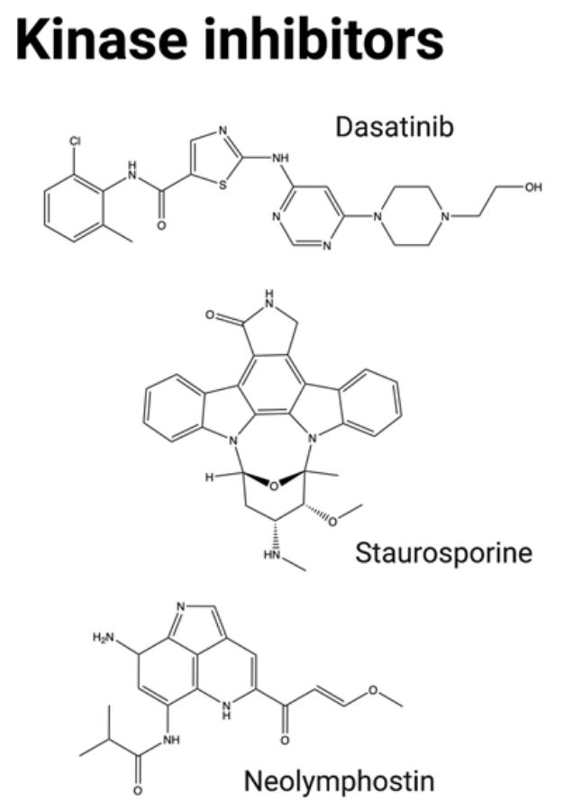 The introduction of ADC drug Payload