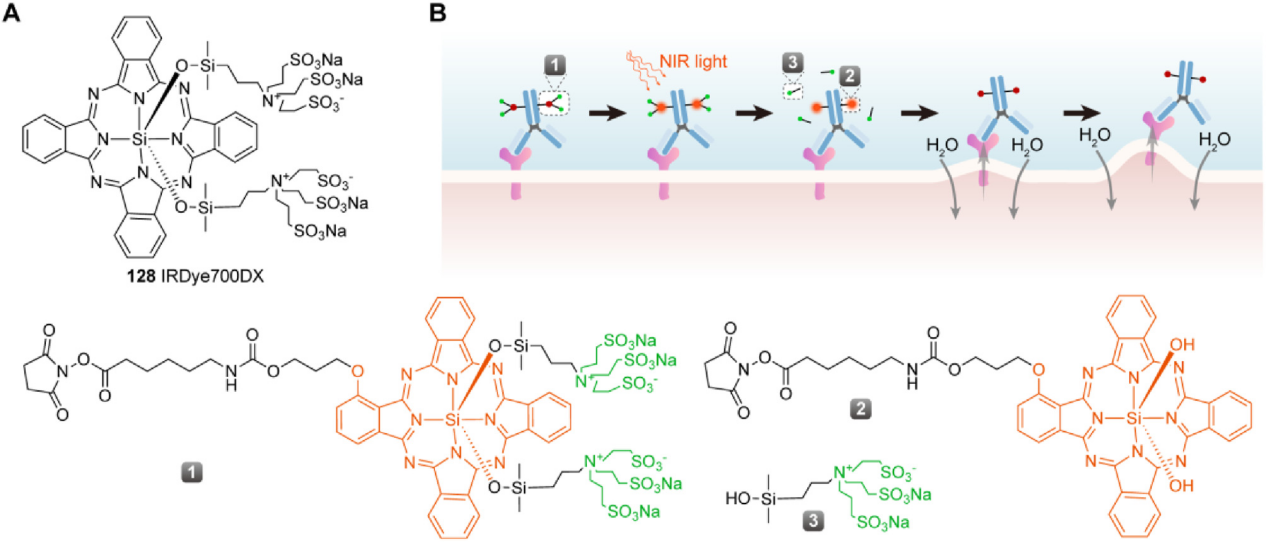 The introduction of ADC drug Payload