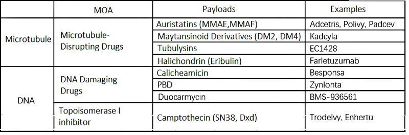 The introduction of ADC drug Payload