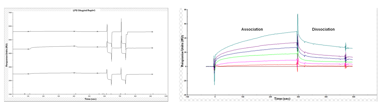 The introduction of Surface Plasmon Resonance The introduction of Surface Plasmon Resonance