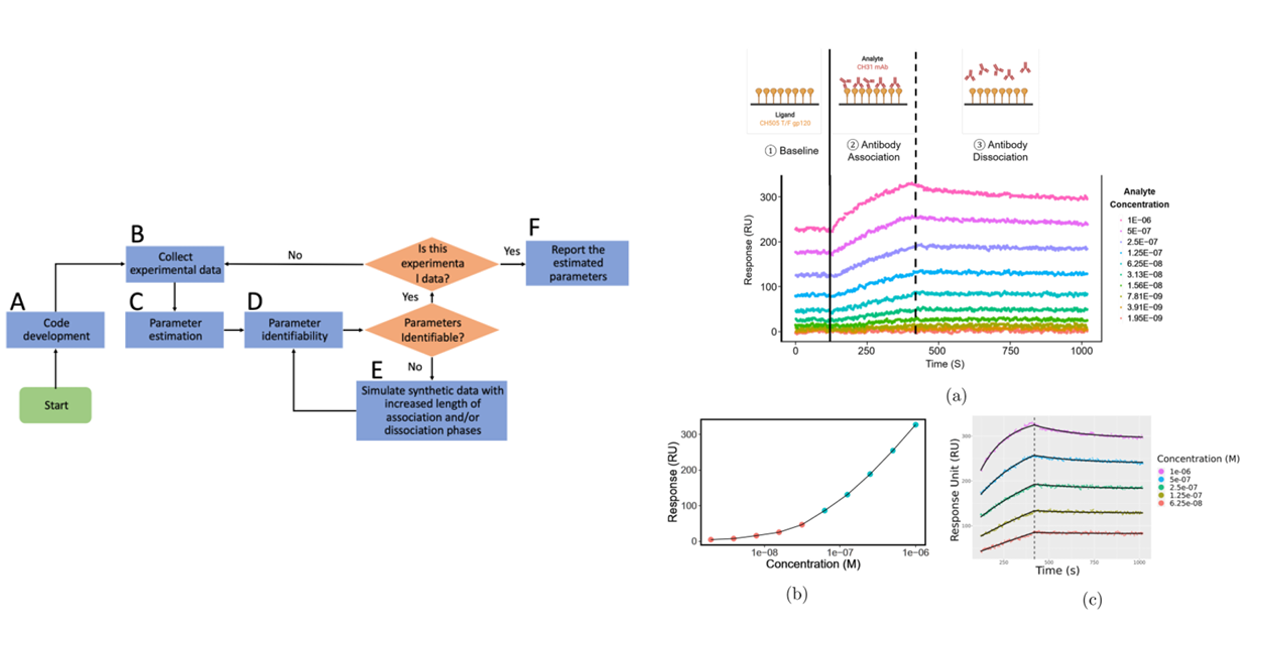 The introduction of Surface Plasmon Resonance The introduction of Surface Plasmon Resonance