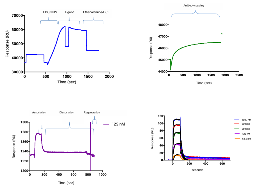 The introduction of Surface Plasmon Resonance The introduction of Surface Plasmon Resonance