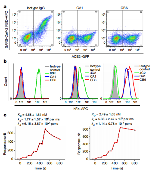 The introduction of Surface Plasmon Resonance The introduction of Surface Plasmon Resonance