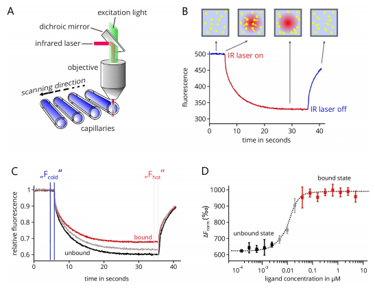 The introduction of the Principle Procedure and Applications of MicroScale Thermophoresis（MST）