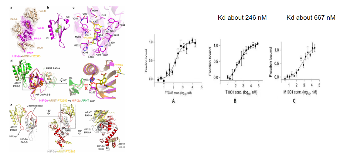 The introduction of the Principle Procedure and Applications of MicroScale Thermophoresis（MST）